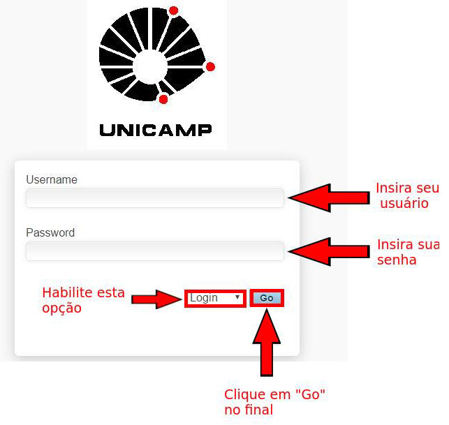 ccuec unicamp vpn connection
