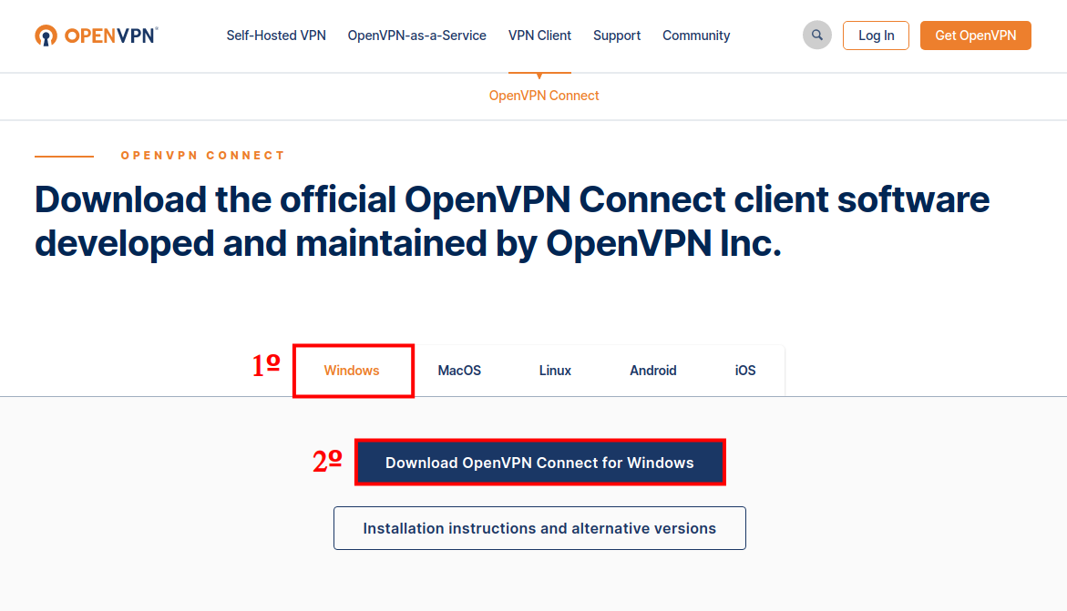 Imagem de tela de login VPN para Windows